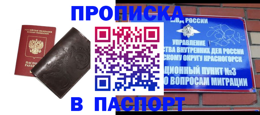 миграционный учет в Димитровграде